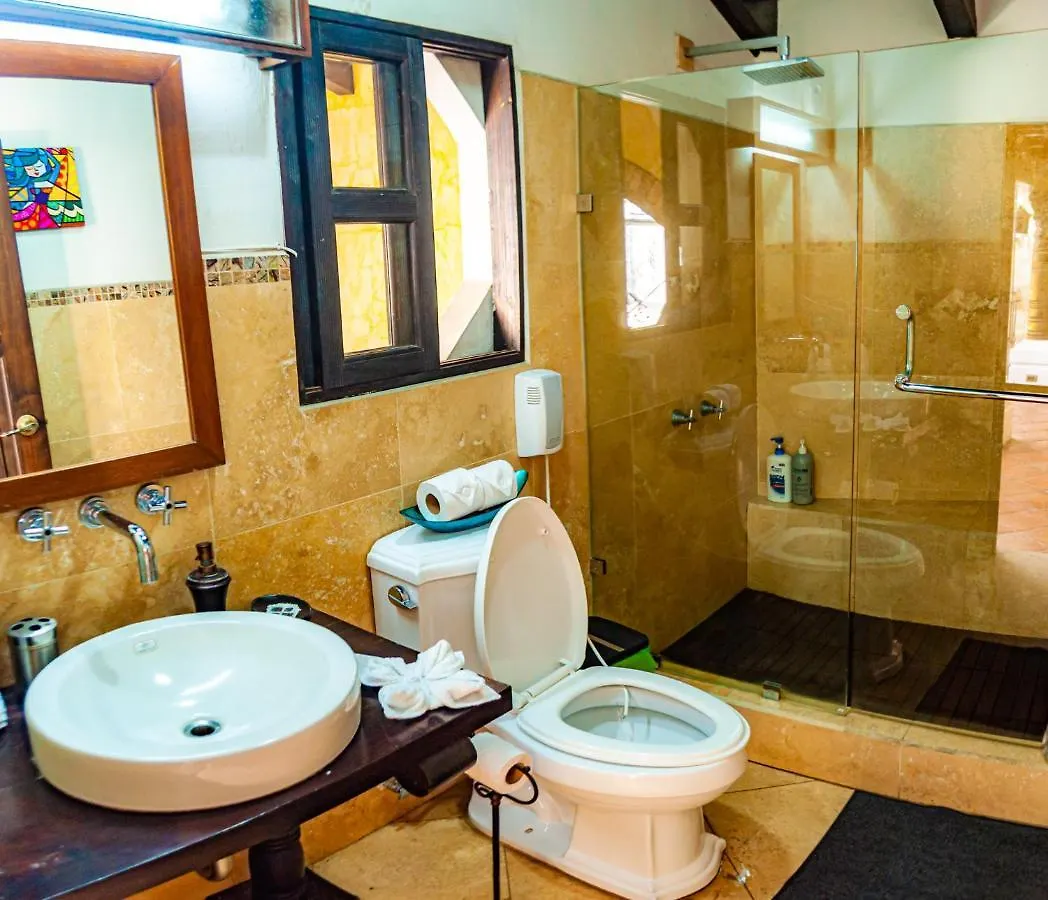 Hotel Central Antiguainn Bed & Breakfast